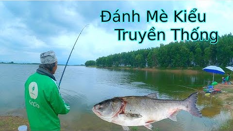 Câu Mè Hồ Gia Ui Cái Kết Thành Ui Gia :))