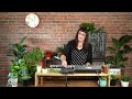 Moog One Firmware Update 1.1.0 and Performance with Lisa Bella Donna