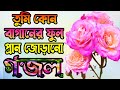         best islamic naaterasoolbangla gojolislamic gojol