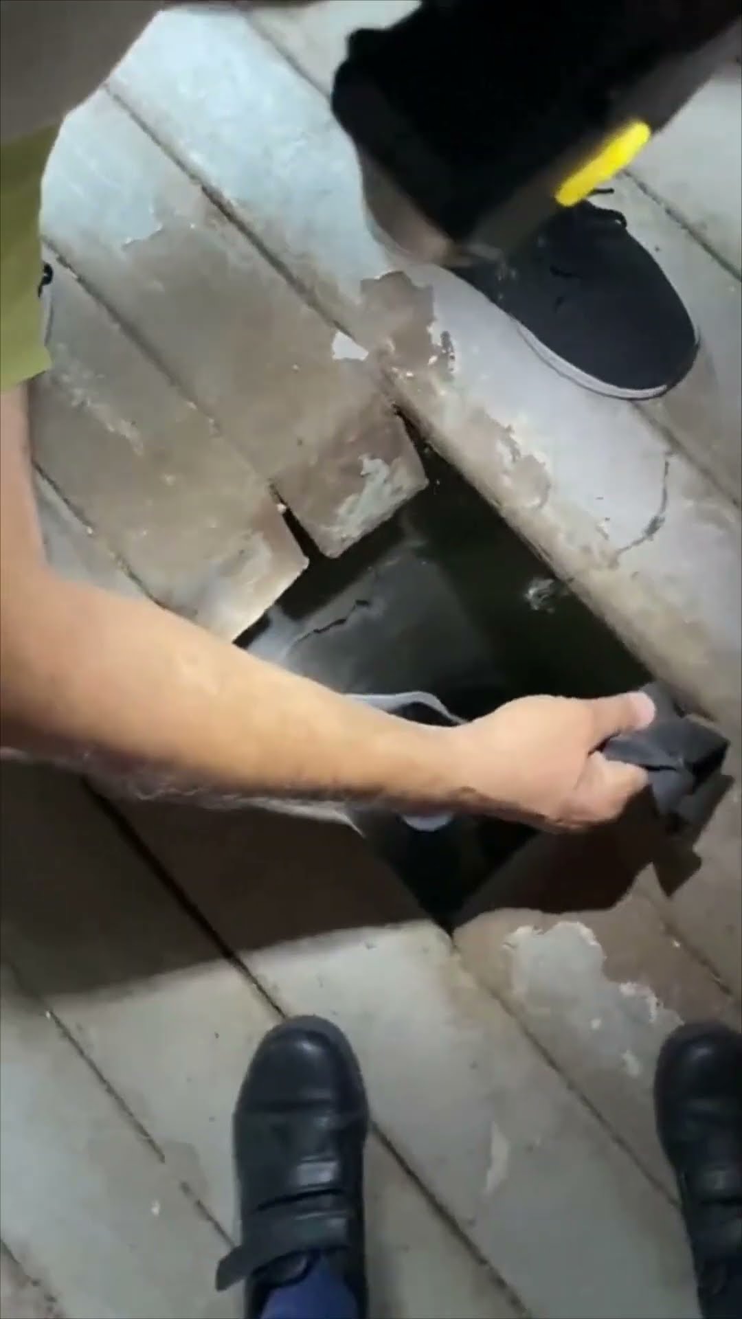 Two Brave Men Rescue Stranded Kitten from Septic Tank