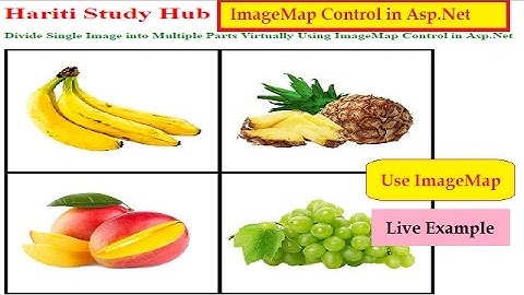 ImageMap Control in Asp.Net C# | Hindi | Learn Asp.Net in Hindi