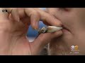 Doctors see more cases of illness affecting longterm marijuana users