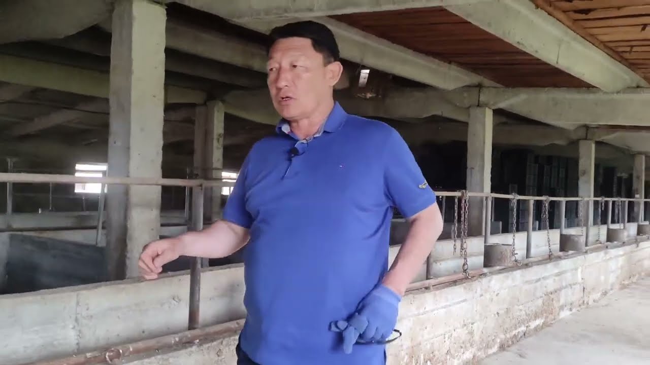 Элдикиндей эле бирок, сапаттуу сарай || Сарай курам дегендер сөзсүз көрсүн