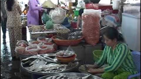 Video Thị Trấn Năm Căn Hướng tới đô thị loại 4