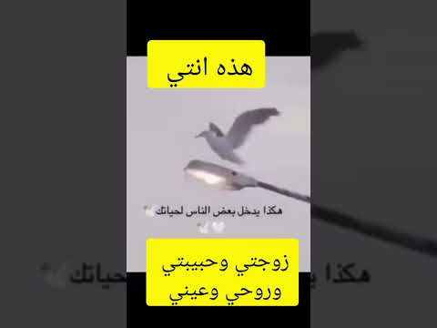 دائما بسبب انسان فارق في حياتك