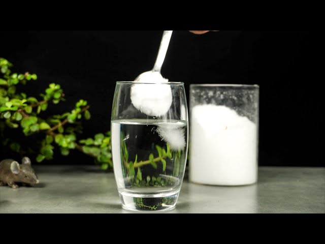 7 EASY SCIENCE EXPERIMENTS WITH SALT / SALT TRICKS class=