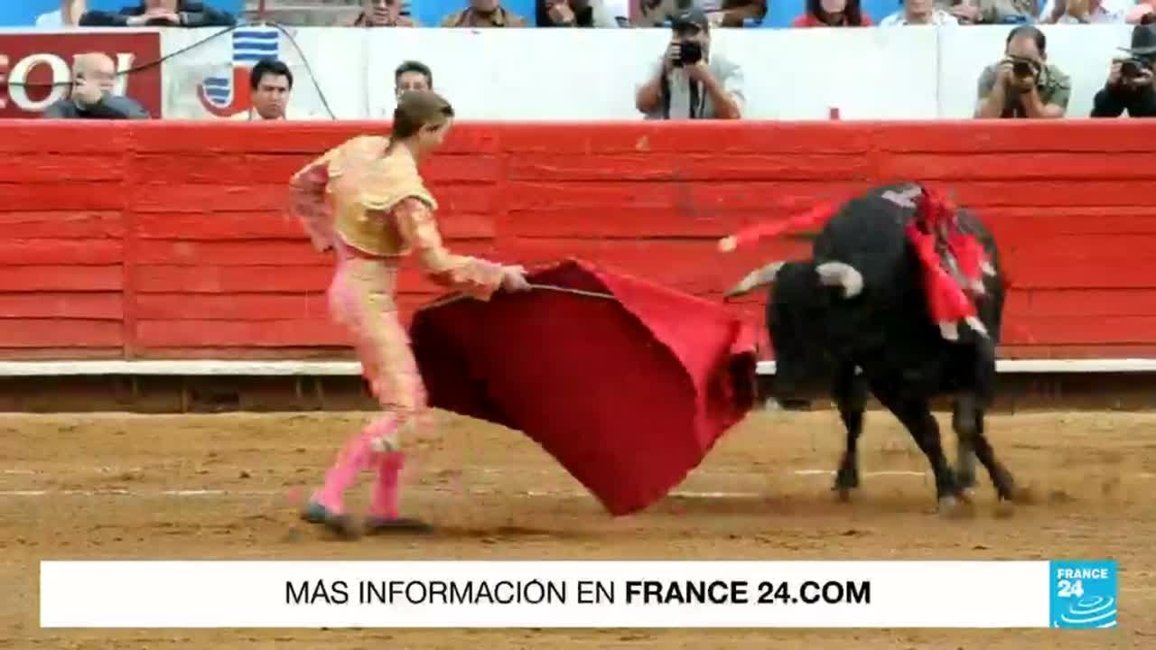 Las corridas de toros podrían quedar desterradas de Ciudad de México -  YouTube