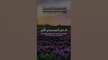 اكتشف نعمة السكينة والهدوء من خلال تلاوة القرآن الكريم  #اكسبلور #المصحف #الرحمن