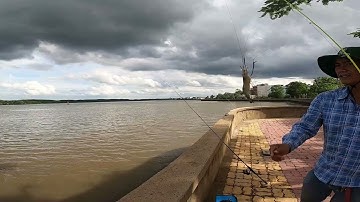 Câu cá bờ kè Tam Thôn Hiệp Cần Giờ.