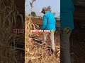 शेतकरी#शेती#shetkari #farming#shorts#farmer #marathi#dialogue#yt #shortviral#vairal#video
