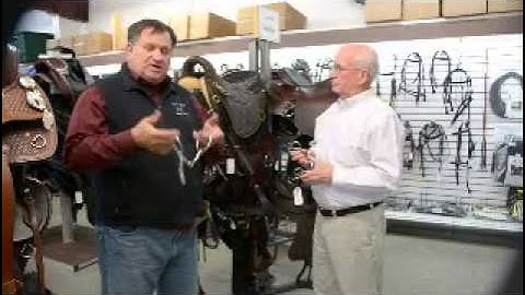 Difference in snaffle and curb bit