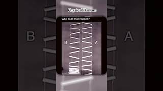 Which Ladder Falls First? 🤯 Physics Says It’s NOT What You Think #shorts #shortsfeed #physics