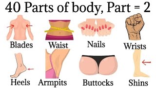 40 Basic Parts Of Body || Daily use English || Listen And Practice #learnenglish  #bodyparts..