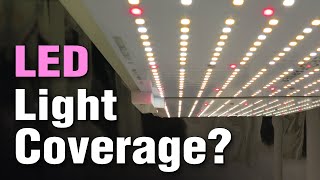 High End LED Grow Lights: Coverage Area & Distance - LED vs T5 vs HID (Spider Farmer SF-2000 Review) by AlboPepper - Drought Proof Urban Gardening 258,835 views 4 years ago 10 minutes, 41 seconds