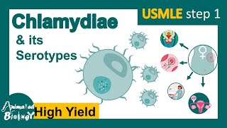 Chlamydia trachomatis and its serotypes | Trachoma | neonatal keratoconjunctivitis | USMLE