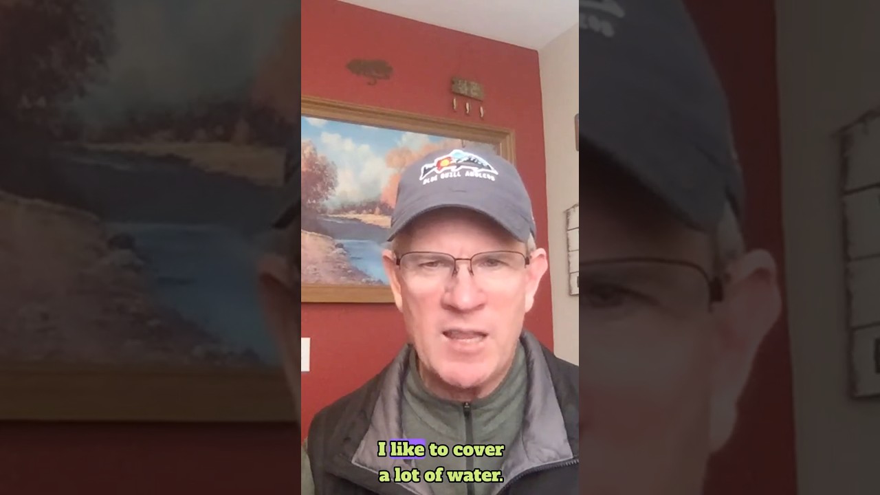 Pat Dorsey on fishing fast  