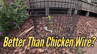 Vevor Plant Protectors Review | Affordable Garden Plant Cages Tested