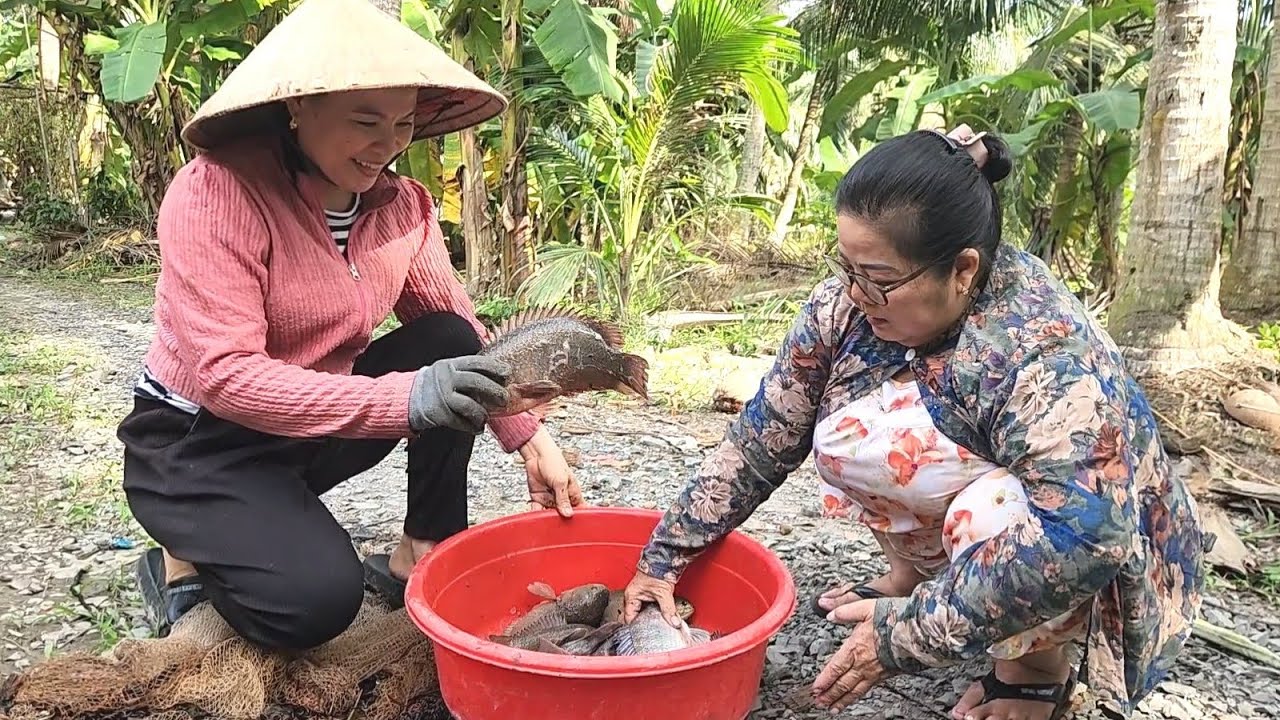 Bất Ngờ Khi 2 Mẹ Con Ra Vườn Chài Cá Dính Con Cá Rô Khổng Lồ Bự Nhất Từ Trước Đến Nay | TKQ & Family