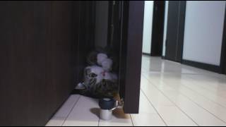 すきまる。 - Gap Maru. - Resimi