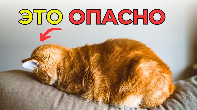 Жалаңаш Стюарт Таунсенд Жалаңаш Стюарт Таунсенд