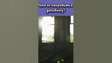 Что может не понравится домовому? #shorts