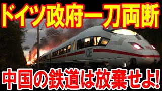 【海外の反応】ドイツ政府「今すぐ中国の鉄道を放棄せよ!」外国人「職人の技量がいる最高級品は日本で製造してるからな」