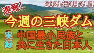 週報！三峡ダム　下げオペレーション開始。　オロチョン族になった日本人