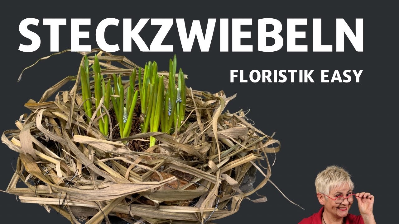 STECKZWIEBELN