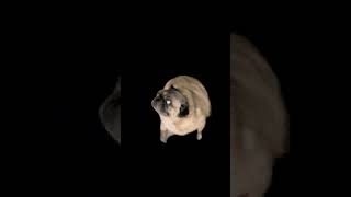 Ip you can save as #pug