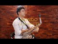 Mundo - IV of Spades (Saxophone Cover) Saxserenade