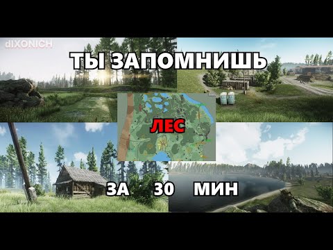 Как выучить карту Лес 2024! Гайд для новичков. Выходы чвк. tarkov * eft * тарков