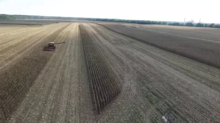 Engel Family Farms