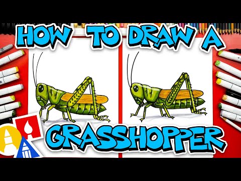Grasshopper Drawing - How To Draw A Grasshopper Step By Step