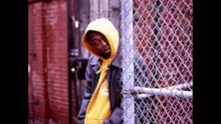 Black Rob - Song Keeps On Playing