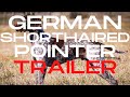 German shorthaired pointers  trailer  dogcasttv