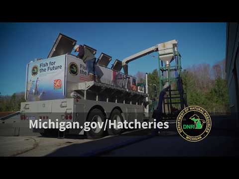 Michigan DNR Fish Hatcheries