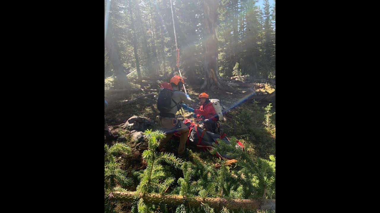 Grizzly bear attacks hunter south of Big Sky