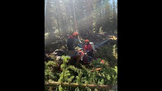 Grizzly Bear Attacks Hunter South Of Big Sky