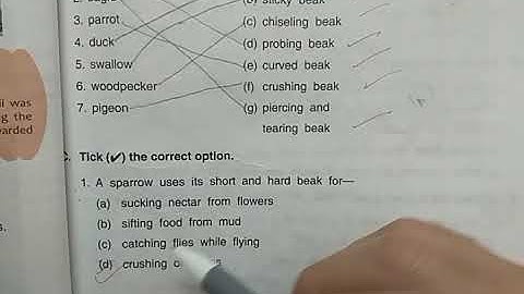 DAV Nahan Class-IV Science Revision L-5, Part-3