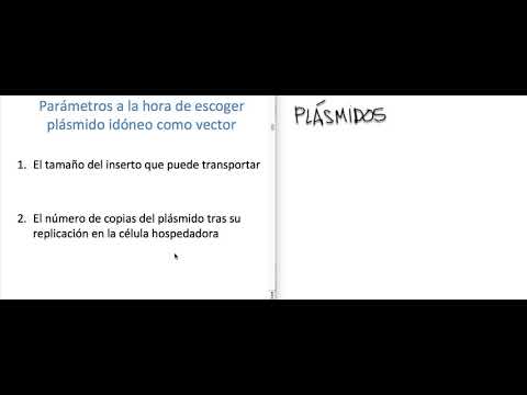 Vídeo: Diferencia Entre Plásmido Y Vector