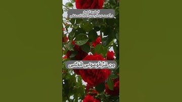 سورة الناس بصوت المقرئ فضيلة الشيخ د.أحمد عبد الرحمن الخجا الدمشقي الشافعي 🌸