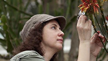 What in the World is a Herbarium?