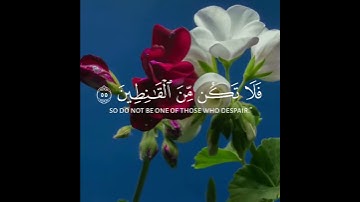 قالوا بشرناك بالحق فلا تكن من القانطين | سورة الحجر القارئ هزاع البلوشي ❤🌸