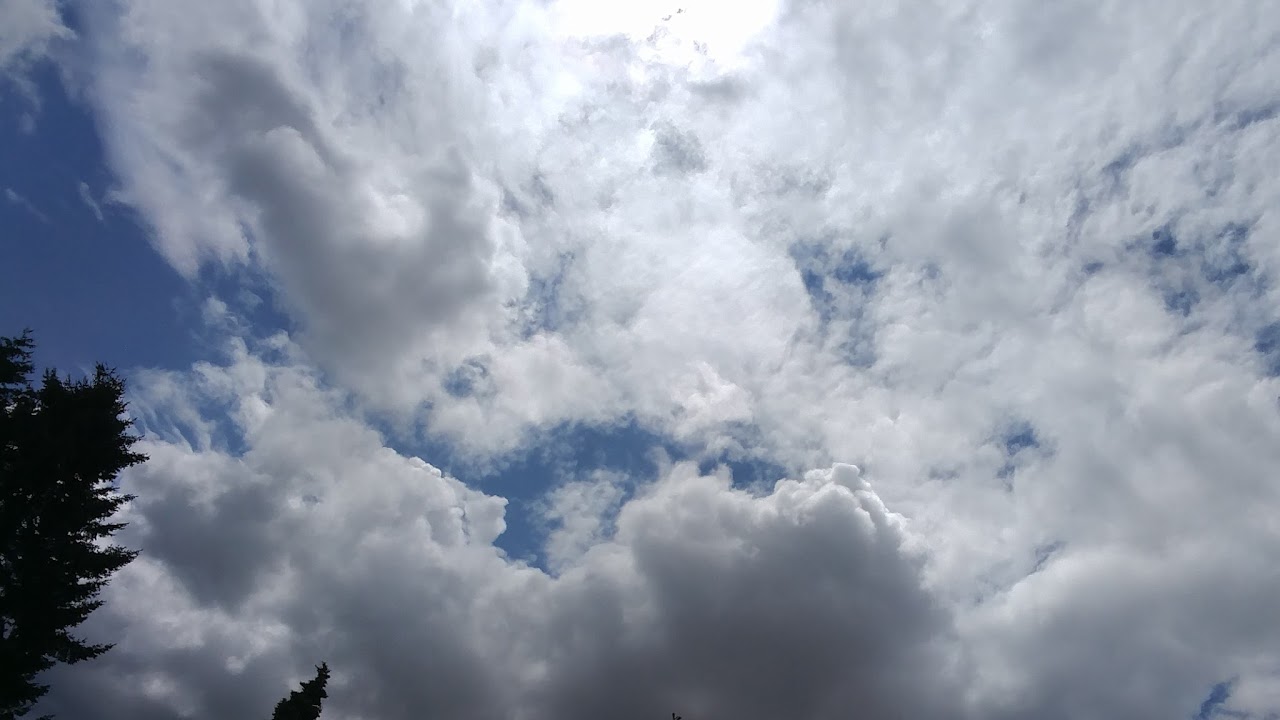 Grinding Gear - 7 Days to Die