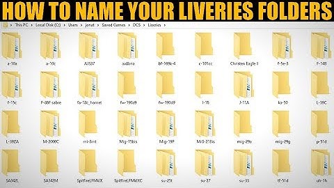 Explained: How To Name Your Aircraft Livery Skin Containing Folders | DCS WORLD
