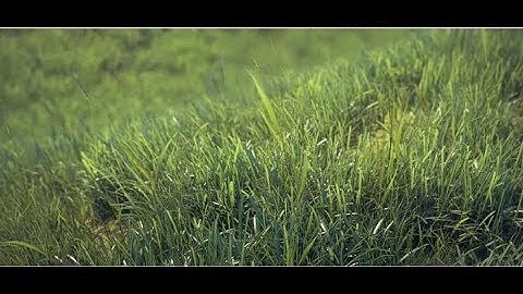How to Create Realistic Grass in 3d max & vray in URDU / HINDI