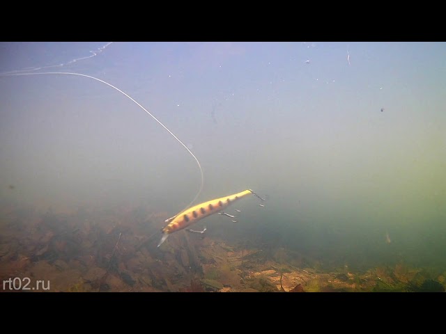 Копия воблера Megabass Ito Shiner 115 SP от BearKing