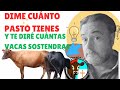 DIME CUÁNTO PASTO TIENES Y TE DIRE CUANTAS VACAS PUEDES SOSTENER