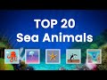 Top 20 Sea Animals | Flashcards | English Vocabulary and Sentences