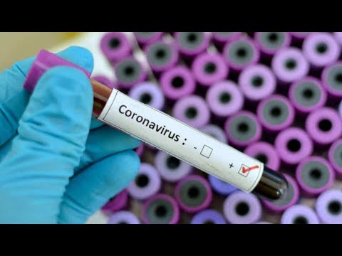 Hacı Surxay-Koronovirus haqqında